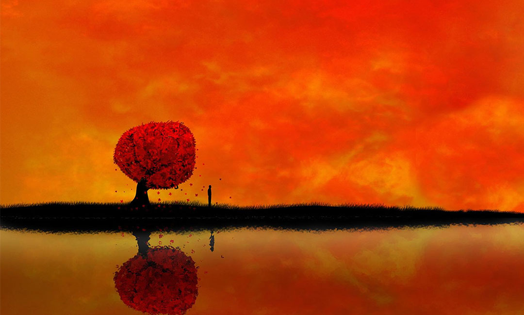 松原笙影微信朋友圈转发案例